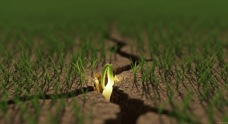 Kiedy wertykulować trawnik – idealny termin dla zdrowej trawy.