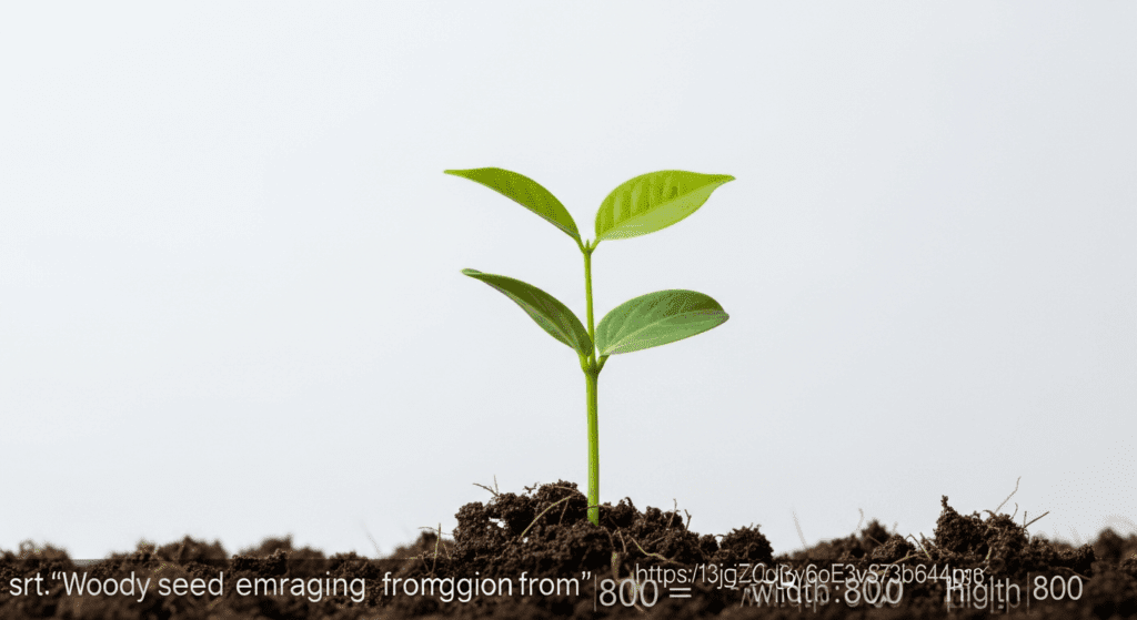 Sadzonki zdrewniałe: Sekret udanej uprawy 2026