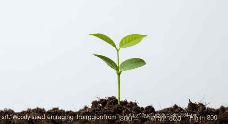 Sadzonki zdrewniałe: Sekret udanej uprawy 2026