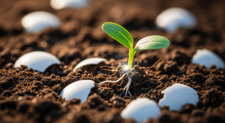 Skorupki jajek nawóz: Prosty trik na bujny ogród 2026