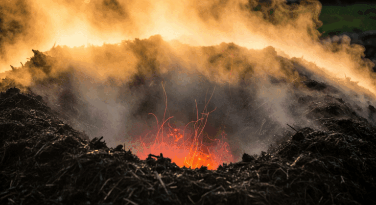 Kompost na gorąco: Szybkie złoto dla Twojego ogrodu!